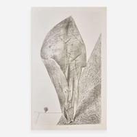 [Art] Ernst, Max Histoire naturelle