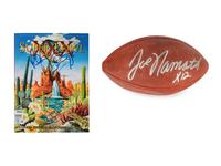 A Group of Football Hall of Fame Signed Autograph Items Including a Joe Namath Football (Beckett Authentication Services BAS Certified),