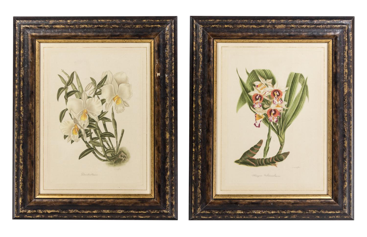 La Roche Laffitte, (French, b. 1943), Four Botanical Studies