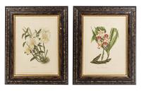 La Roche Laffitte, (French, b. 1943), Four Botanical Studies