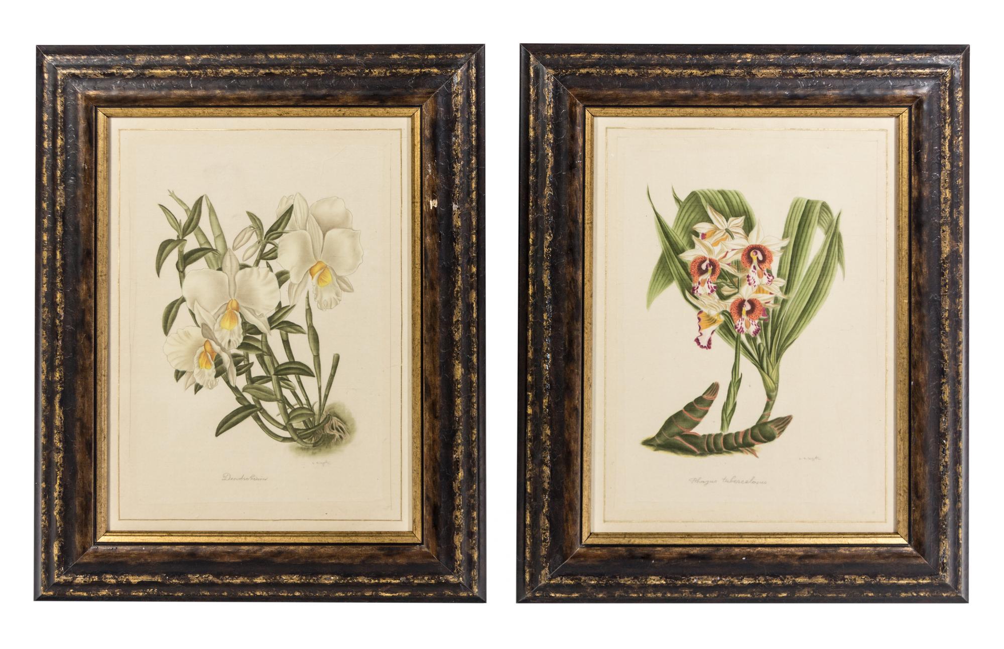 La Roche Laffitte, (French, b. 1943), Four Botanical Studies