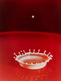 Dr. Harold Eugene Edgerton (1902-1990) Milk Drop Coronet, 1957