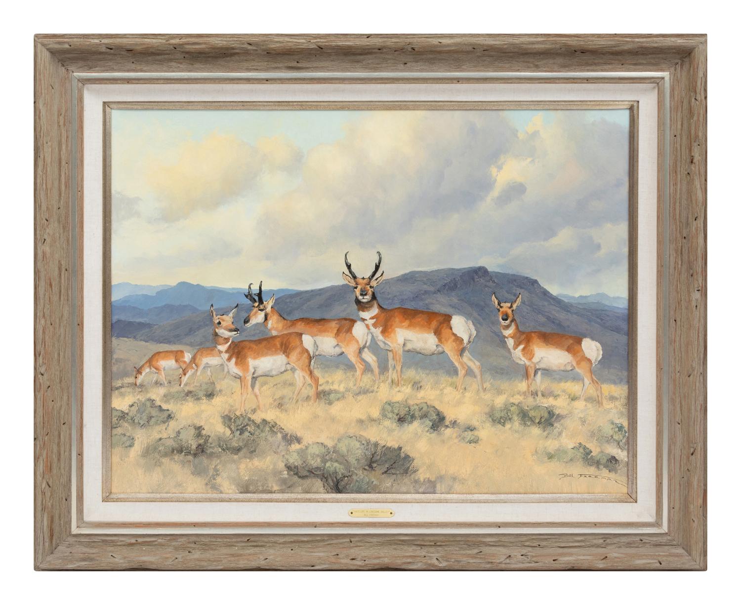 Antelope In Lonesome Valley