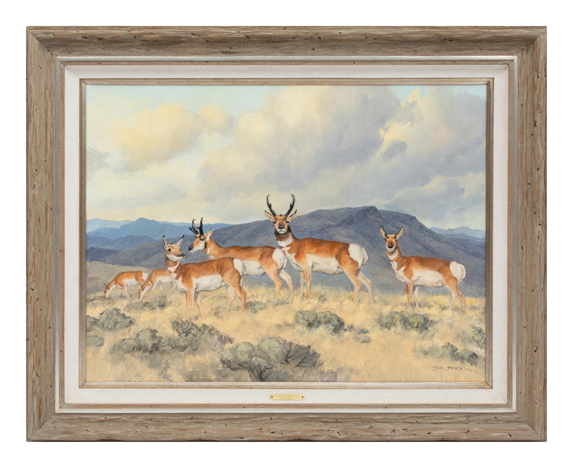 Antelope In Lonesome Valley