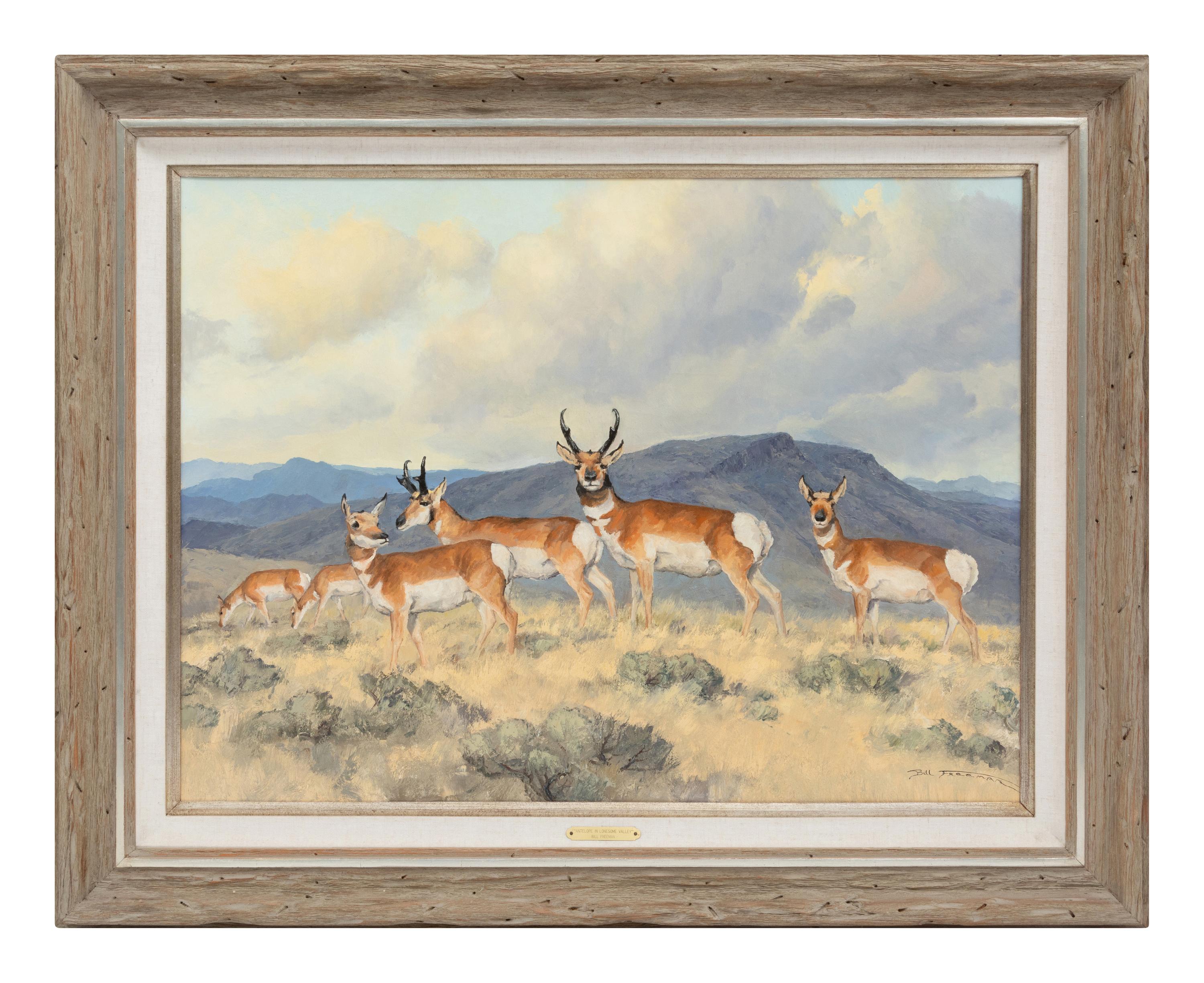 Antelope In Lonesome Valley
