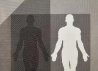 A Wedgwood "Man Diagram III" Bone China Plaque, 1976-7