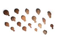 Nineteen Greco-Roman Terracotta Oil Lamps
