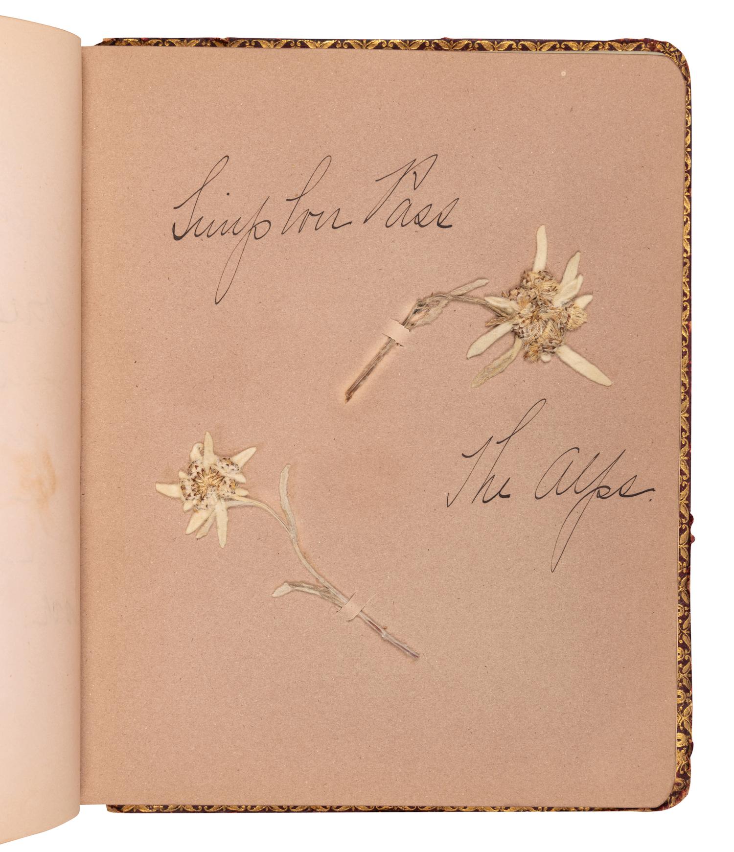 [SPECIMEN ALBUMS]. A group of 3 specimen albums with samples collected from The Holy Land, Greece and Southern Italy Great Britain, Denmark, Switzerland, Germany and France; and Egypt and Palestine. Ca 1890s.