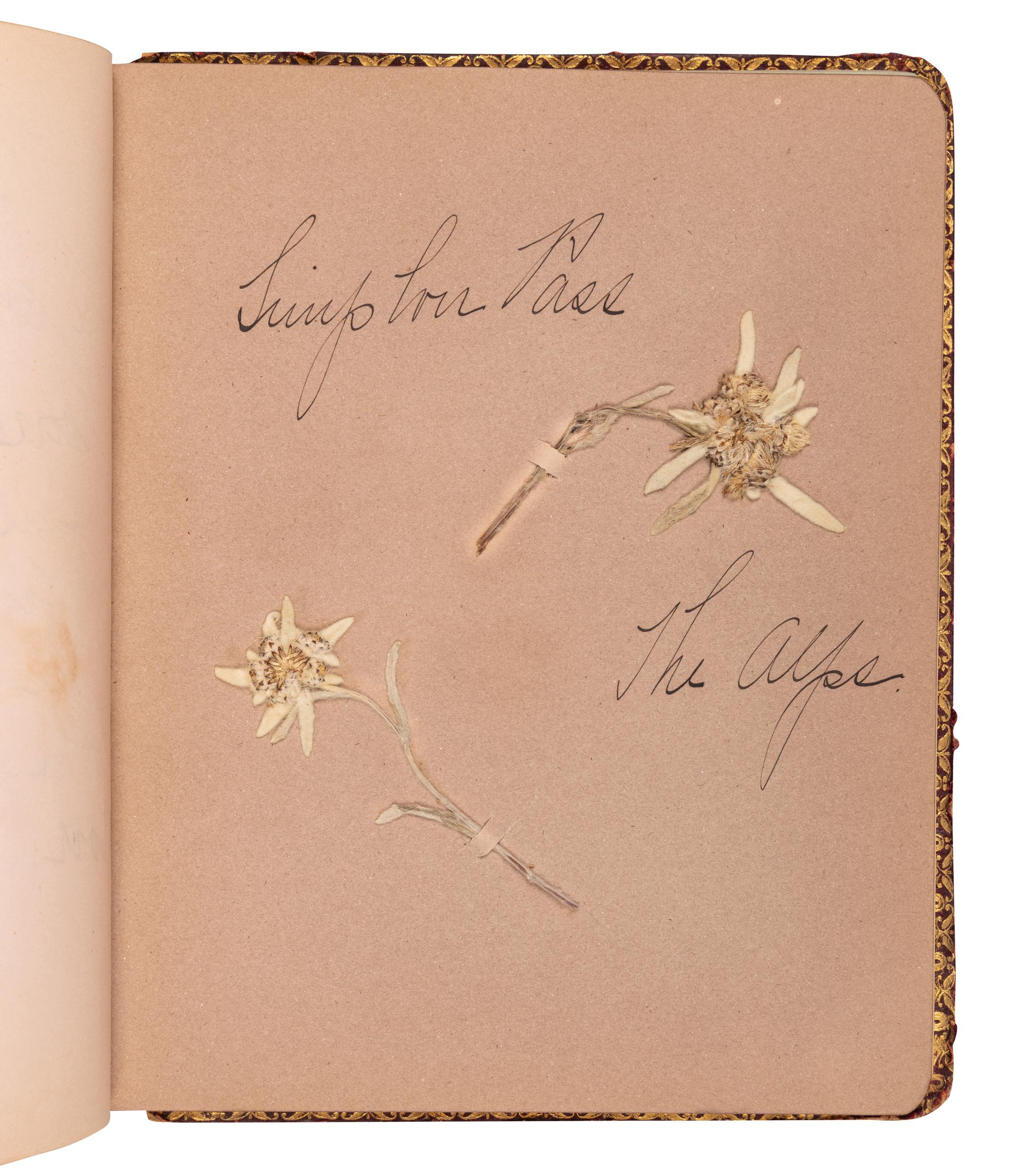 [SPECIMEN ALBUMS]. A group of 3 specimen albums with samples collected from The Holy Land, Greece and Southern Italy Great Britain, Denmark, Switzerland, Germany and France; and Egypt and Palestine. Ca 1890s.