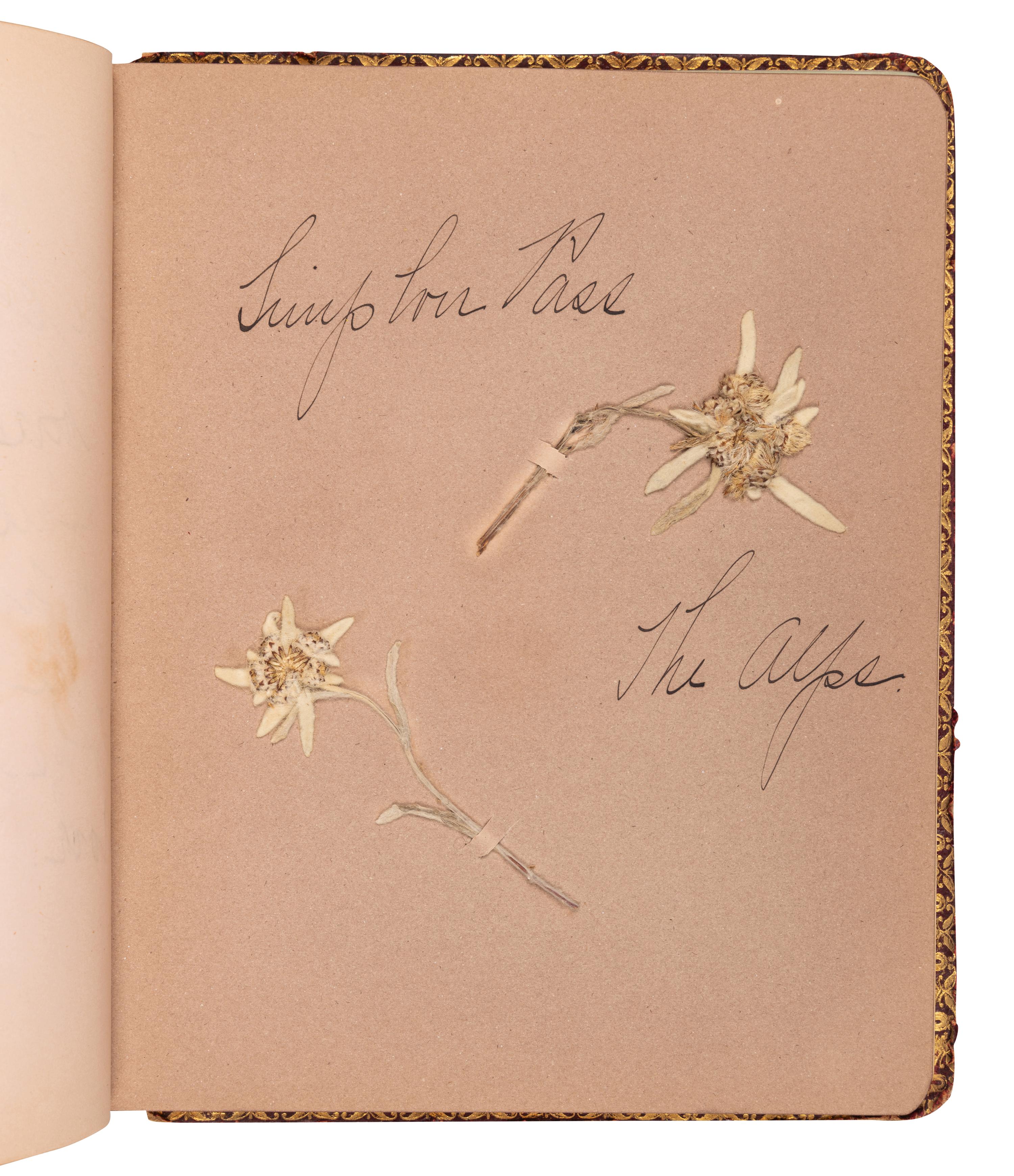 [SPECIMEN ALBUMS]. A group of 3 specimen albums with samples collected from The Holy Land, Greece and Southern Italy Great Britain, Denmark, Switzerland, Germany and France; and Egypt and Palestine. Ca 1890s.