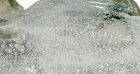 A Daum Pâte-de-Verre Horse