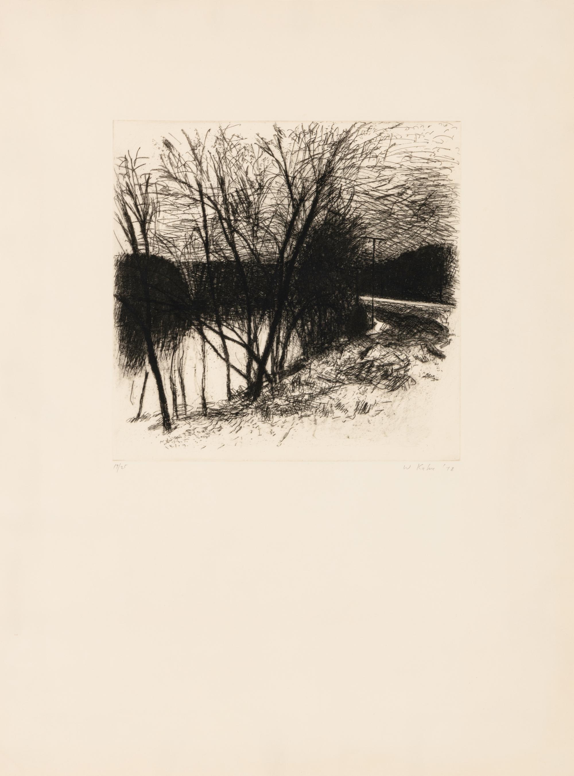 Landscape (#55) , 1978