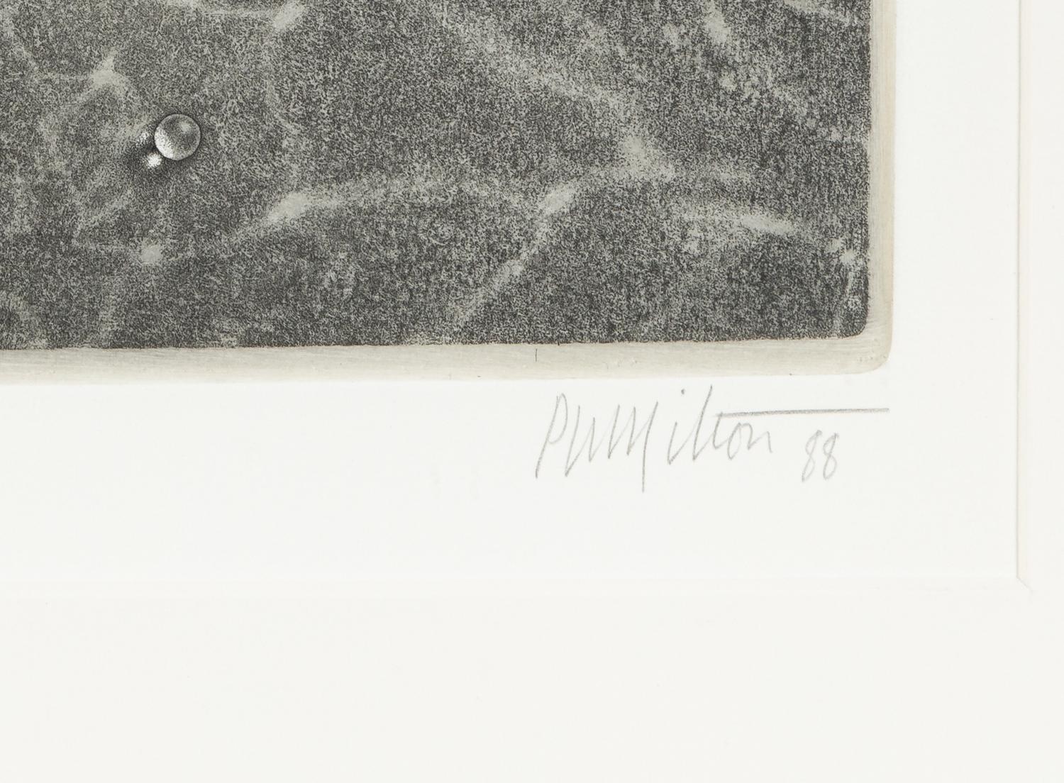 Interiors V (Water Music) , 1988