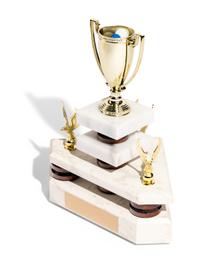 Trophy Modern (The Norton Family Christmas Project), 2013