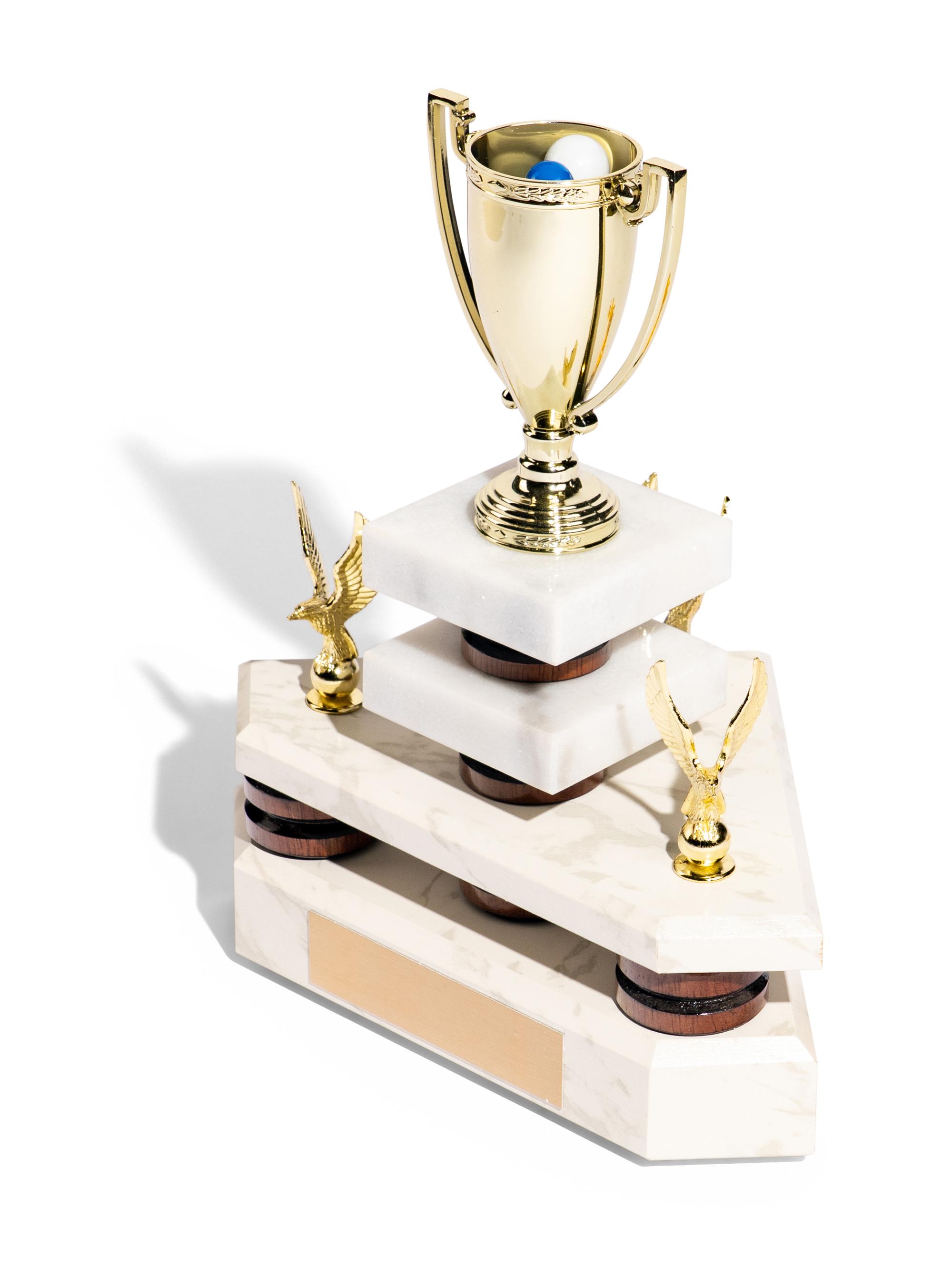 Trophy Modern (The Norton Family Christmas Project), 2013
