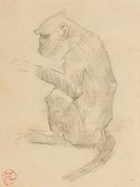 Untitled (Monkey)