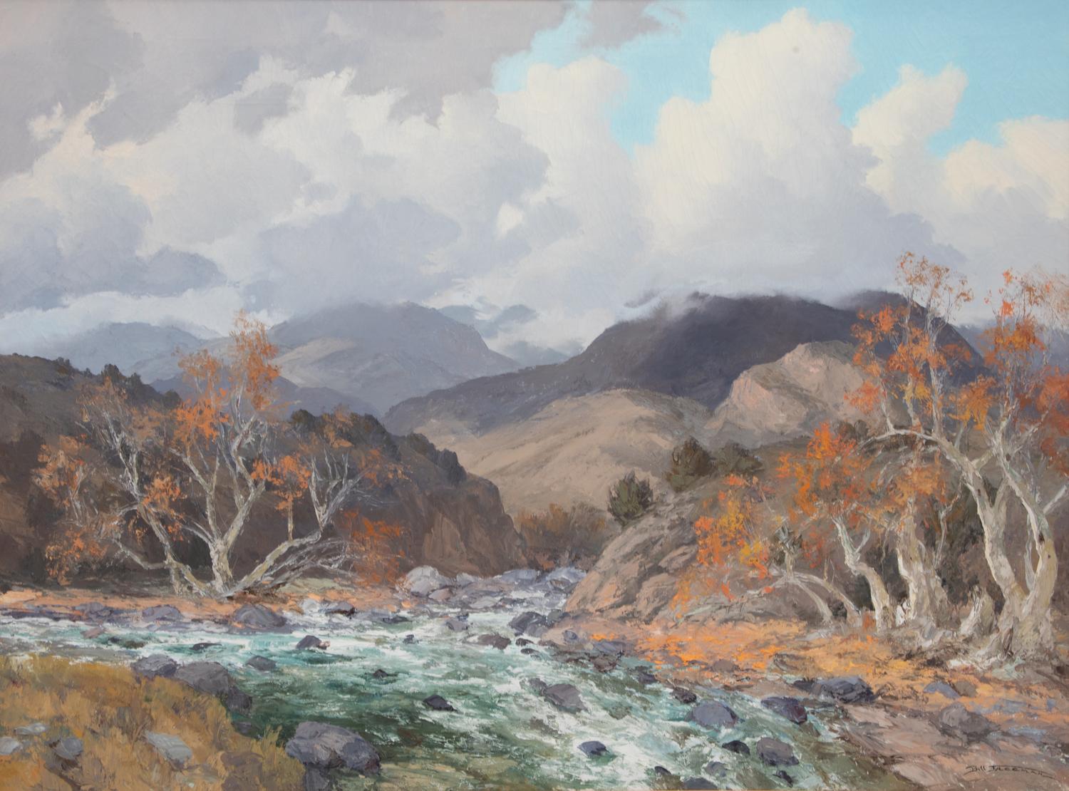 Sycamore Creek Near Sunflower