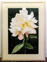 Elizabeth Rickert, (American, 20th century), Rose, 1987