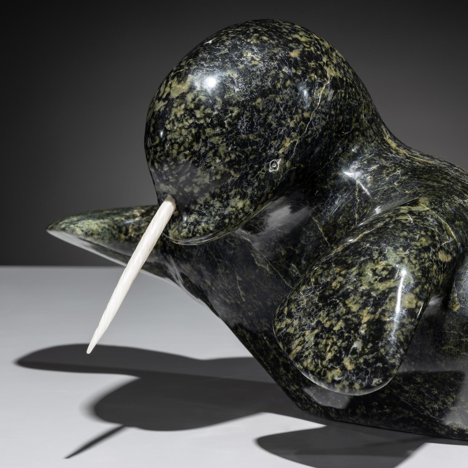 Narwhal