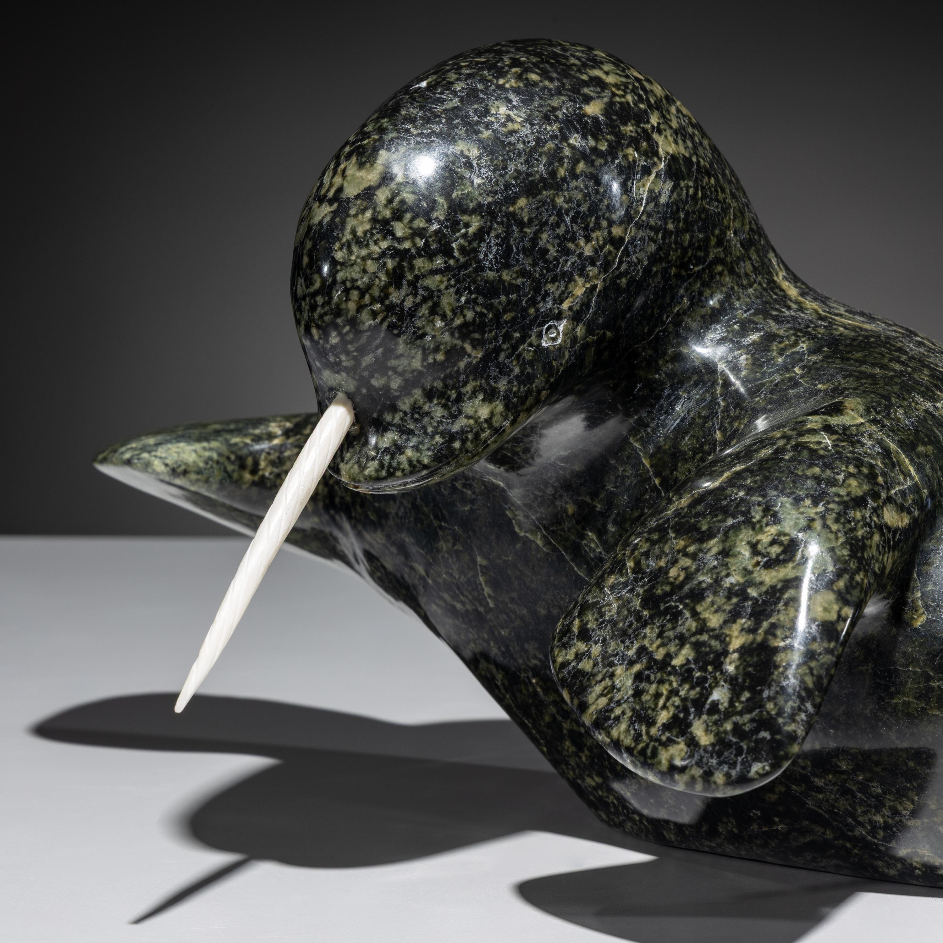 Narwhal