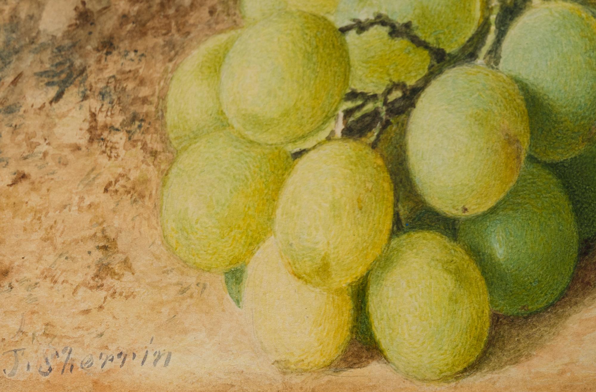 Still-Life of Fruit