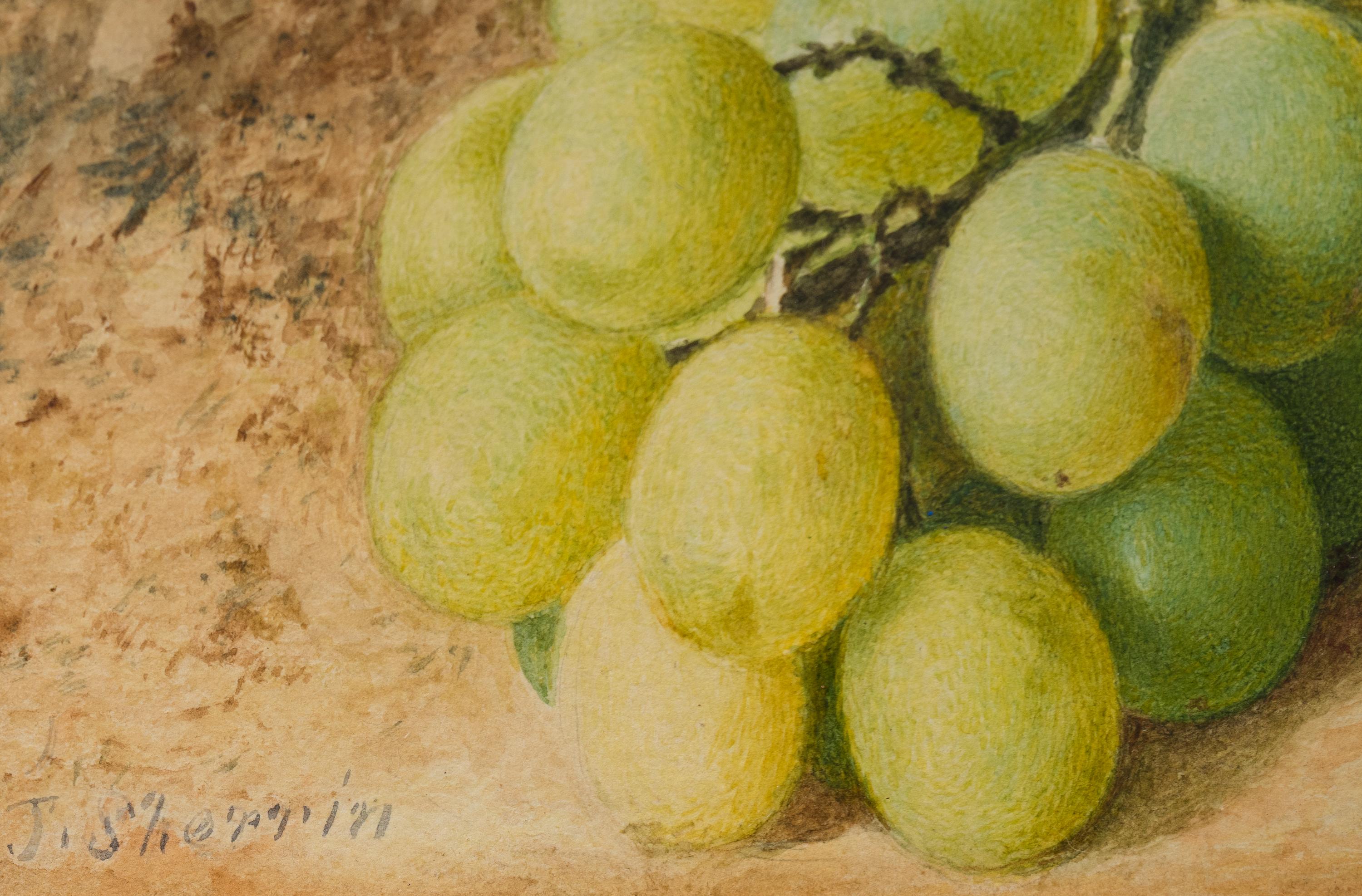 Still-Life of Fruit