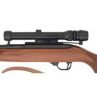 *Ruger 10/22 Rifle with Bushnell Scope
