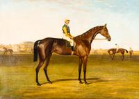 Harry Hall (British, 1814-1882) — Portrait of Blue Bonnett