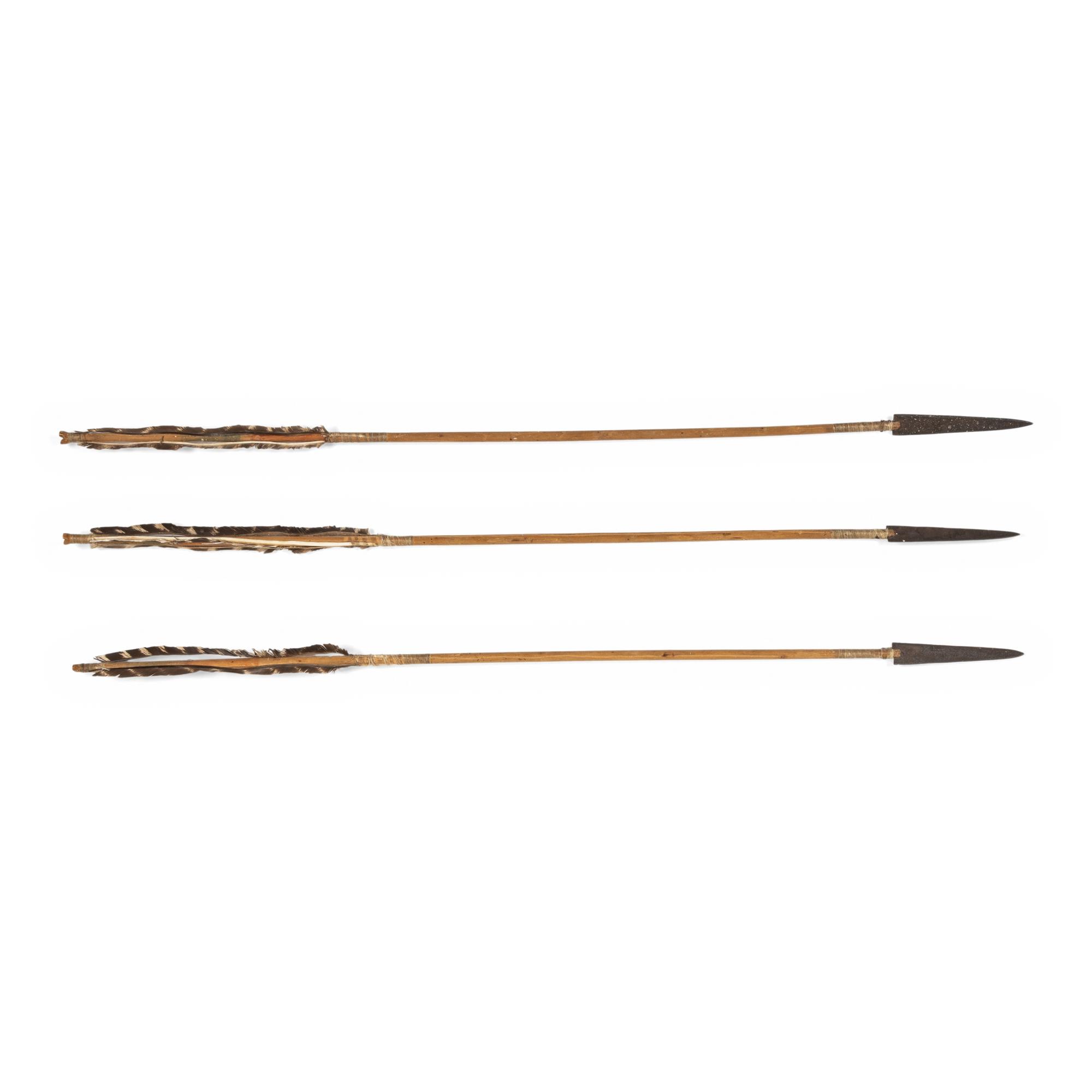 Northern Plains Metal-Tipped Arrows