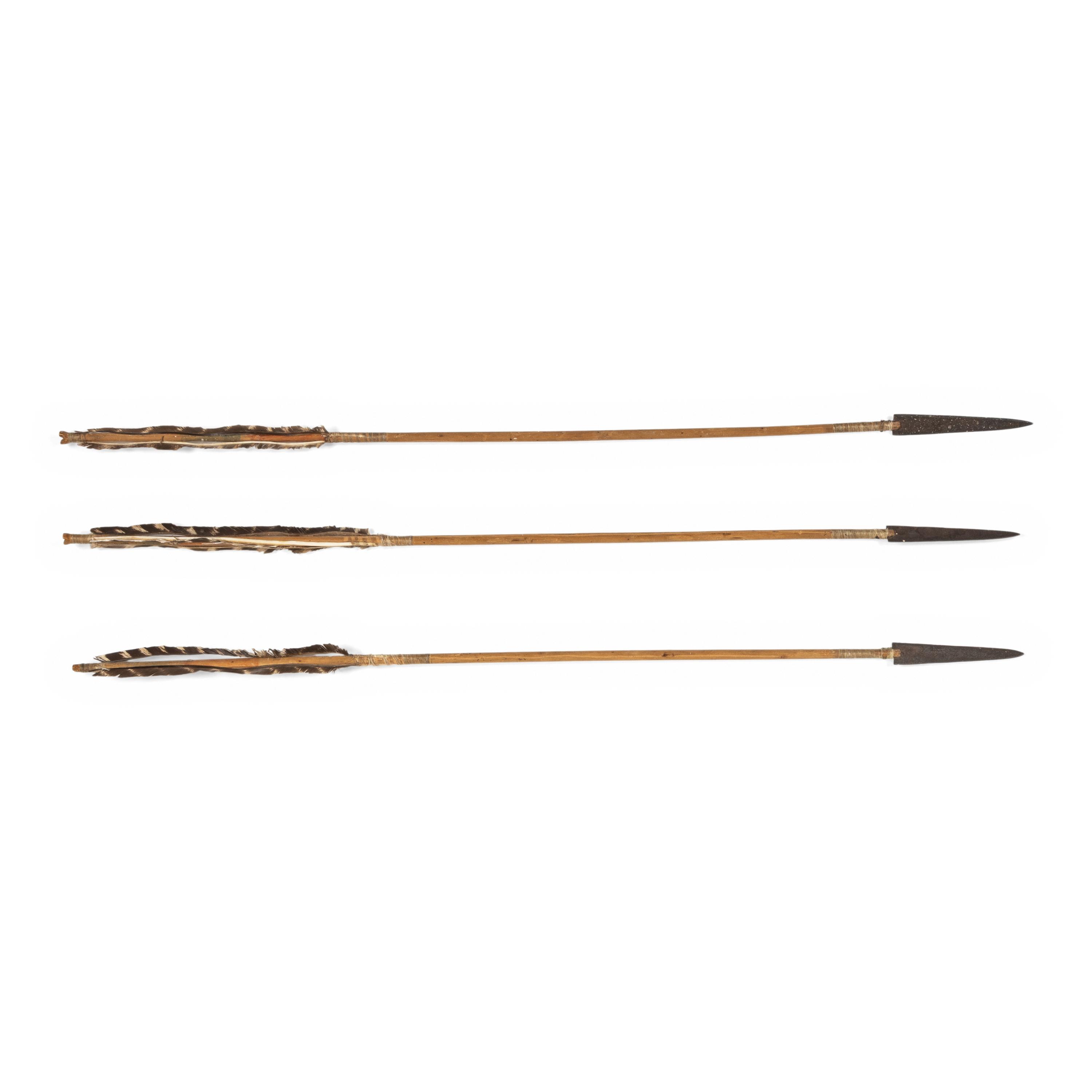 Northern Plains Metal-Tipped Arrows