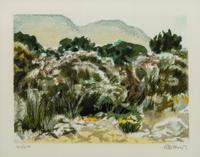 Peter Hurd, (American, 1904-1984), Apache Plume