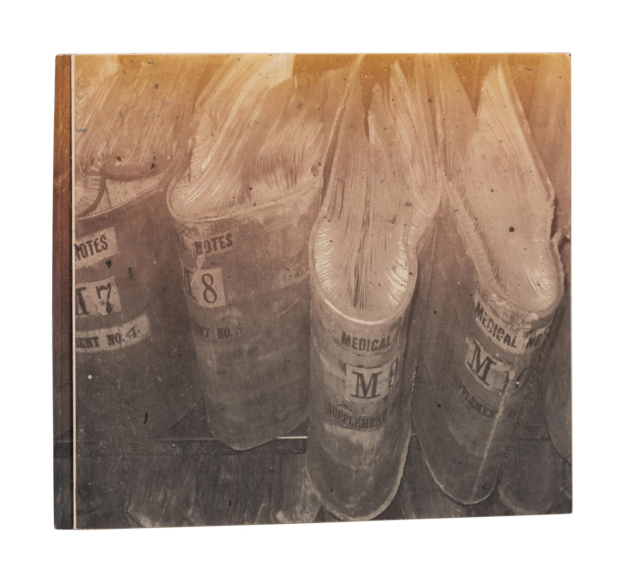 [LOGAN ELM PRESS]. BOLE, Mary Jo (b.1956). White Elephant, 1860-1960. Columbus, OH: Logan Elm Press, 2014.