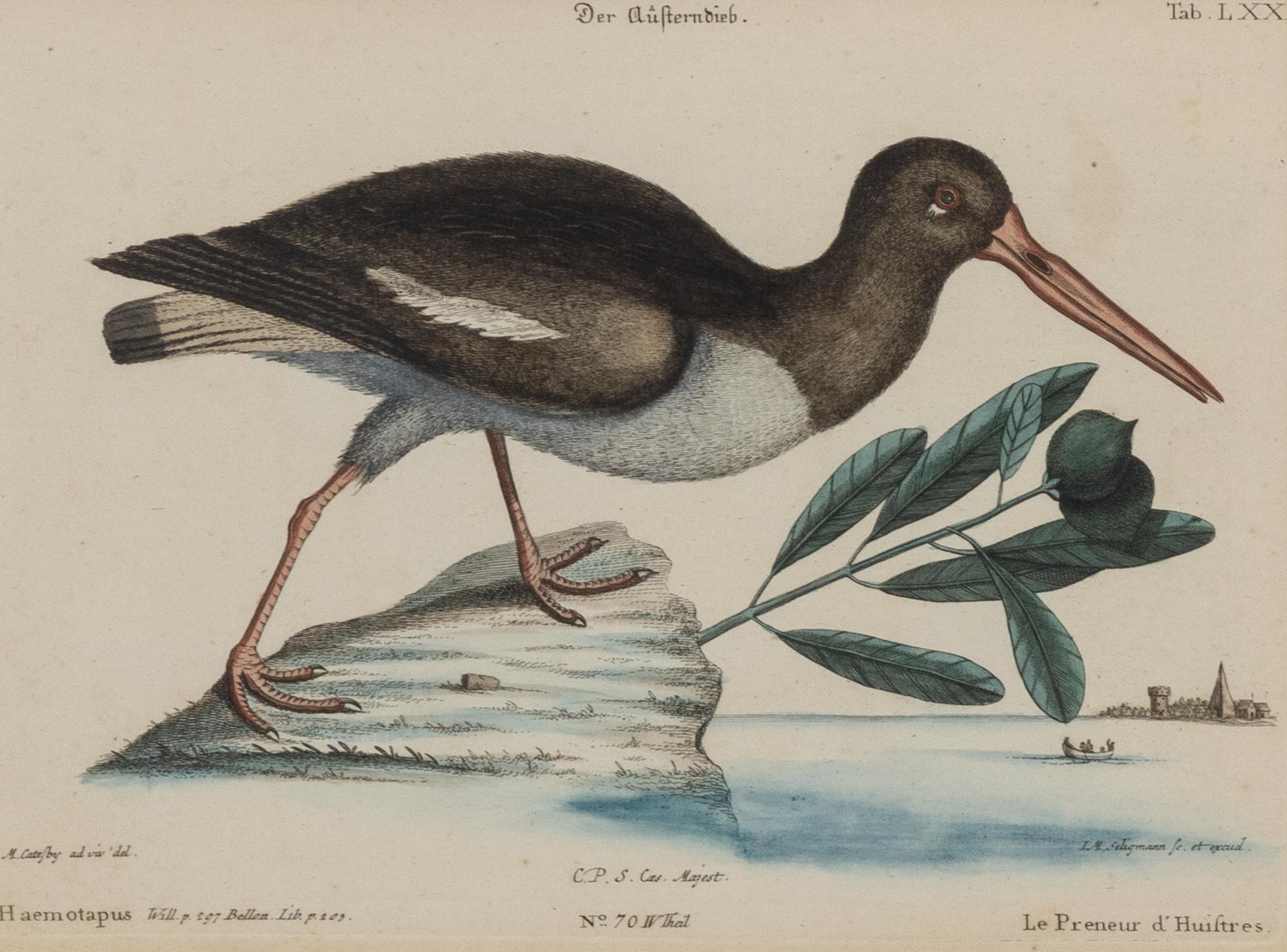 A Set of Four Bird Prints