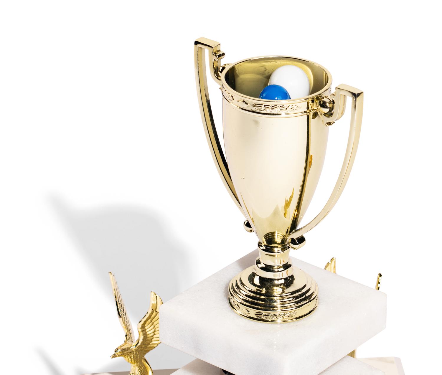 Trophy Modern (The Norton Family Christmas Project), 2013