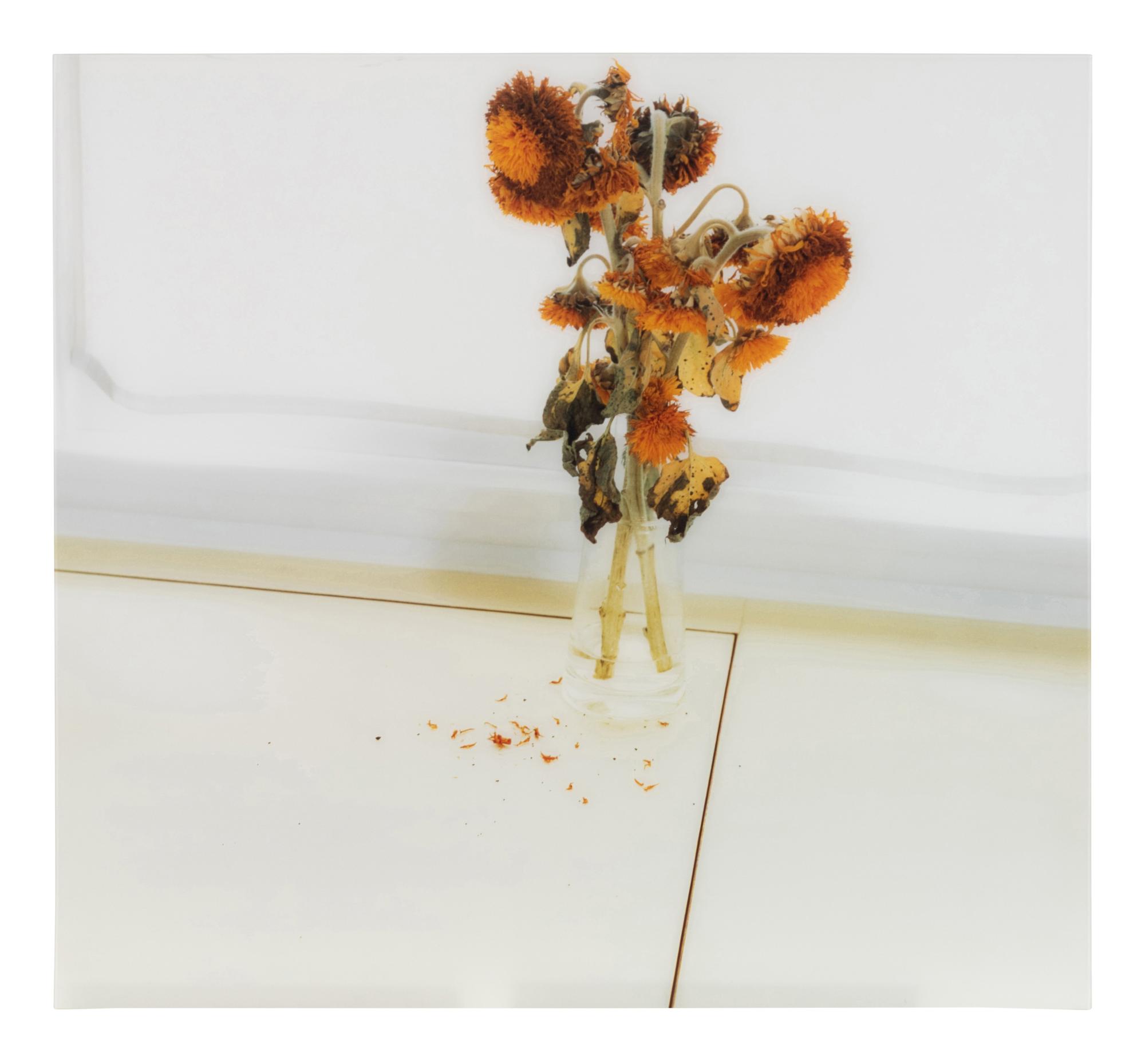 Untitled 05.6 (diptych), 2005