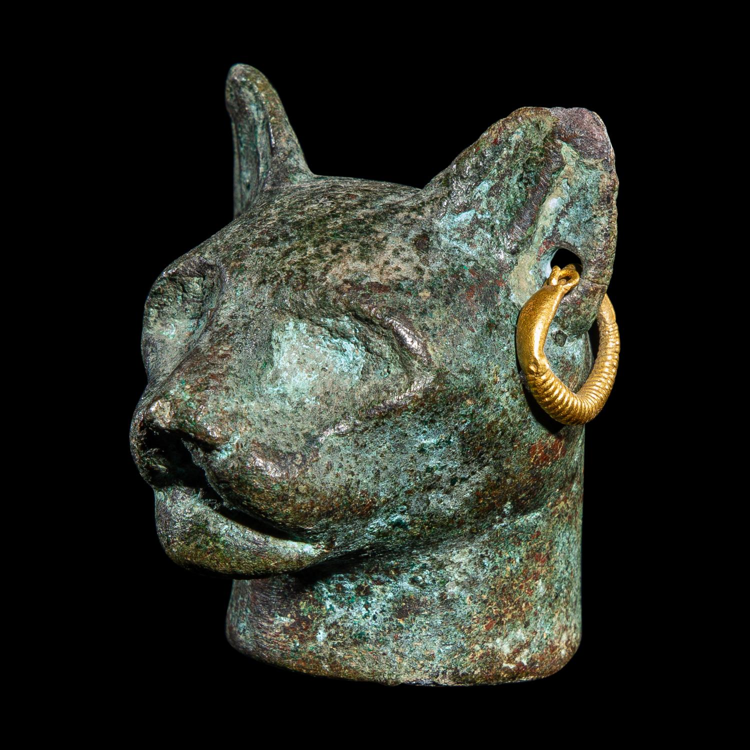 An Egyptian Bronze Head of a Cat