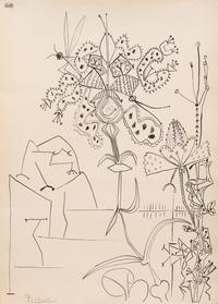 Plantes Tropicales