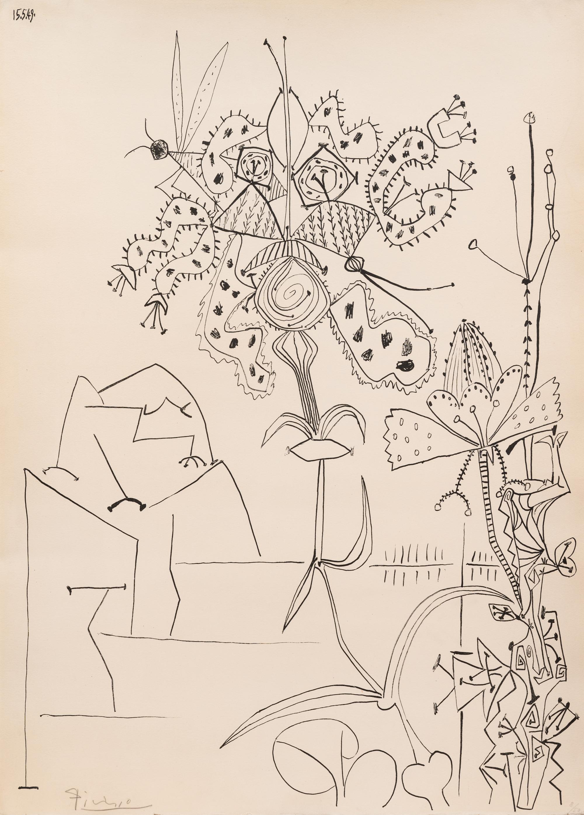 Plantes Tropicales