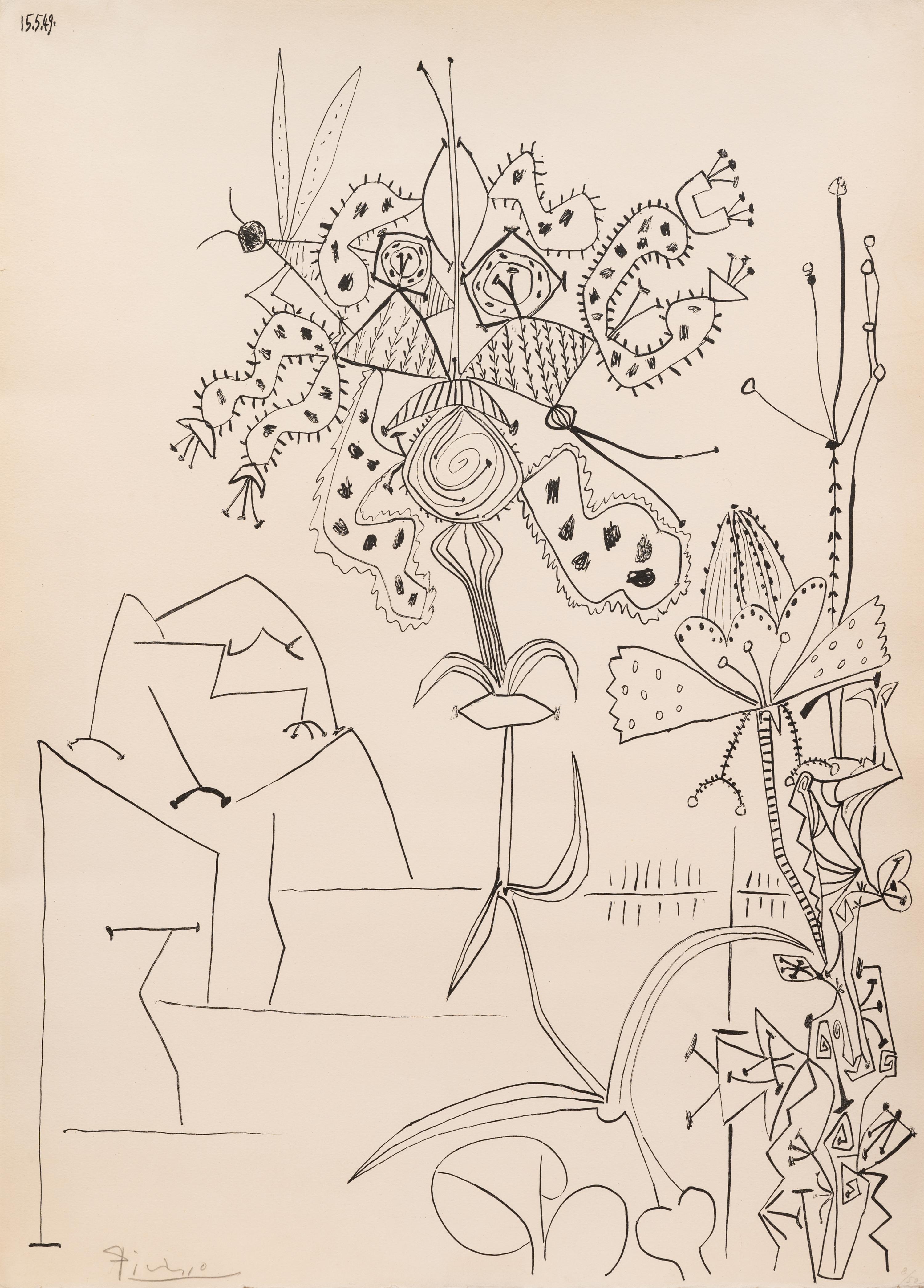 Plantes Tropicales