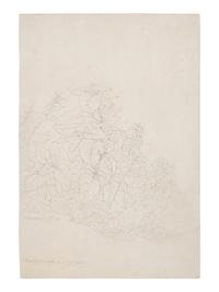 Plant Study in Lovere, 1827