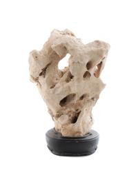 A Chinese Scholar's Rock Height of stone 11 inches.