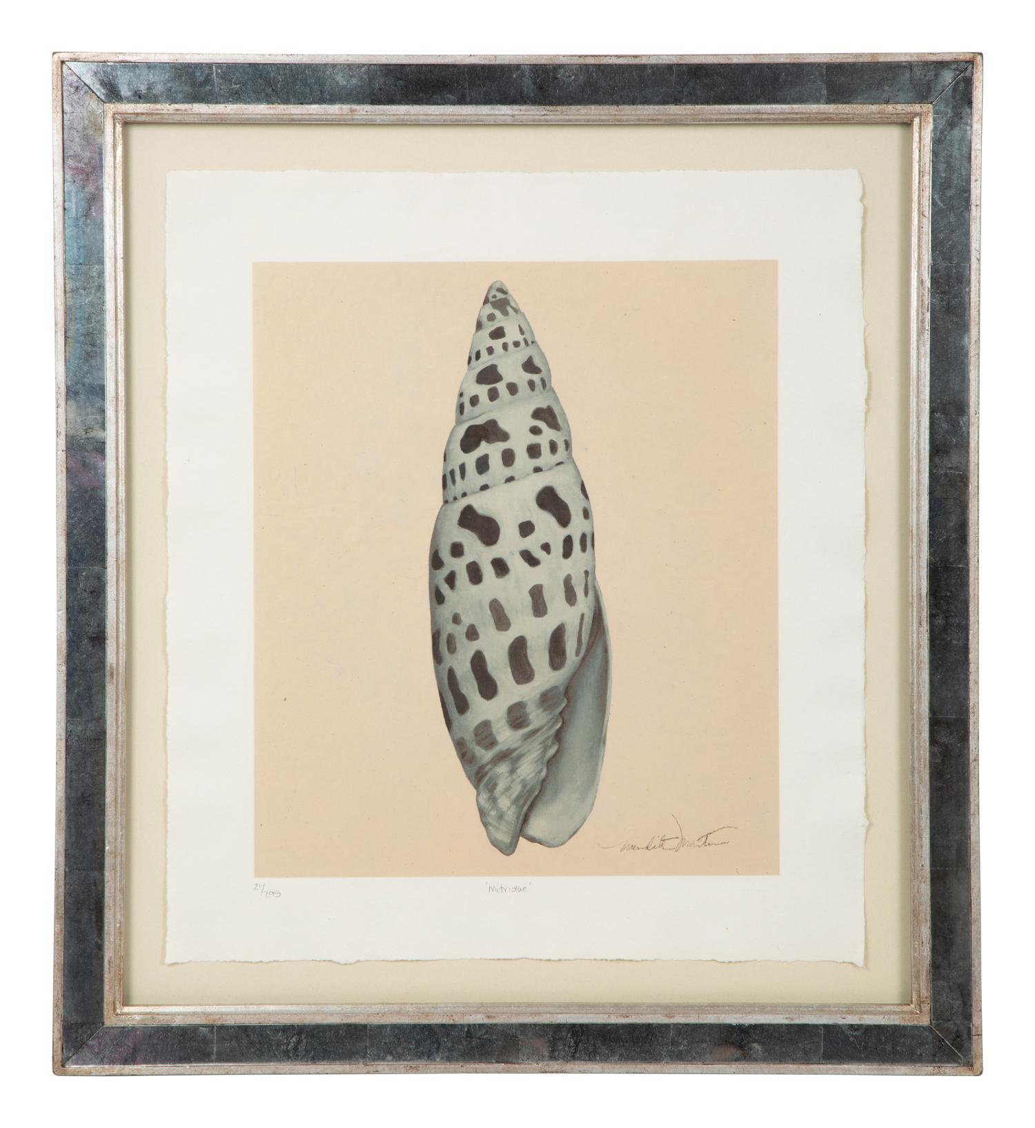 A Set of Four Decorative Nautilus Prints in Mirrored Frames — 20TH CENTURY