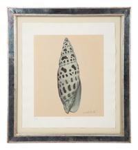 A Set of Four Decorative Nautilus Prints in Mirrored Frames — 20TH CENTURY