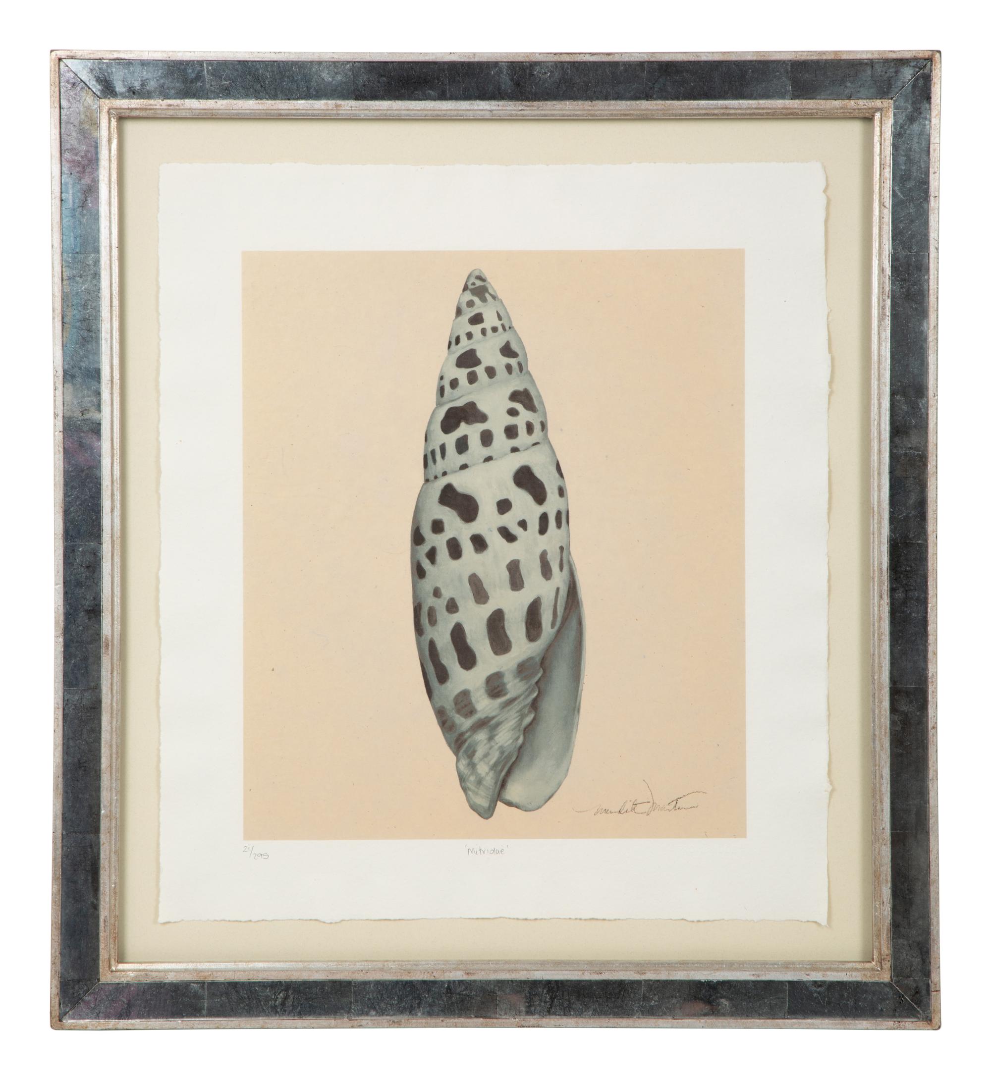 A Set of Four Decorative Nautilus Prints in Mirrored Frames — 20TH CENTURY