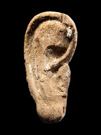 An Egyptian Wood Ear From a Mummy Mask