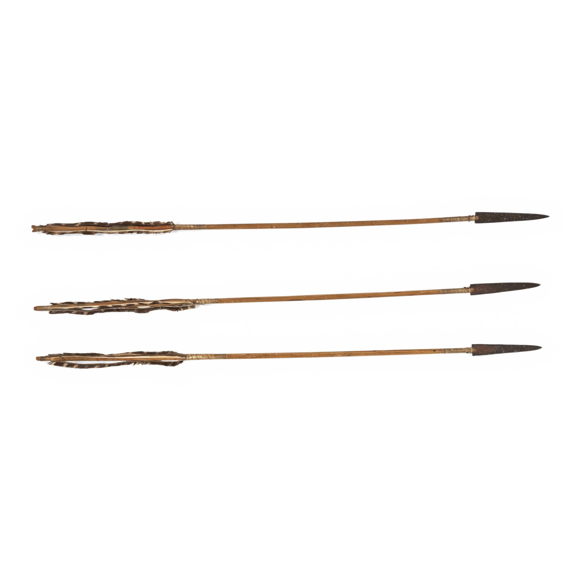 Northern Plains Metal-Tipped Arrows