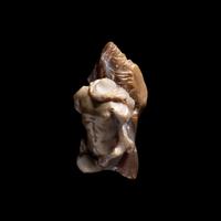 A Roman Chalcedony Fragment of Ganymede and the Eagle