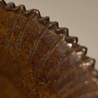 George Ohr (American, 1857-1918) Large Flower Vase with Serrated and Ruffled Rim in Brown Glaze, Biloxi, Mississippi, USA, circa 1895-1896