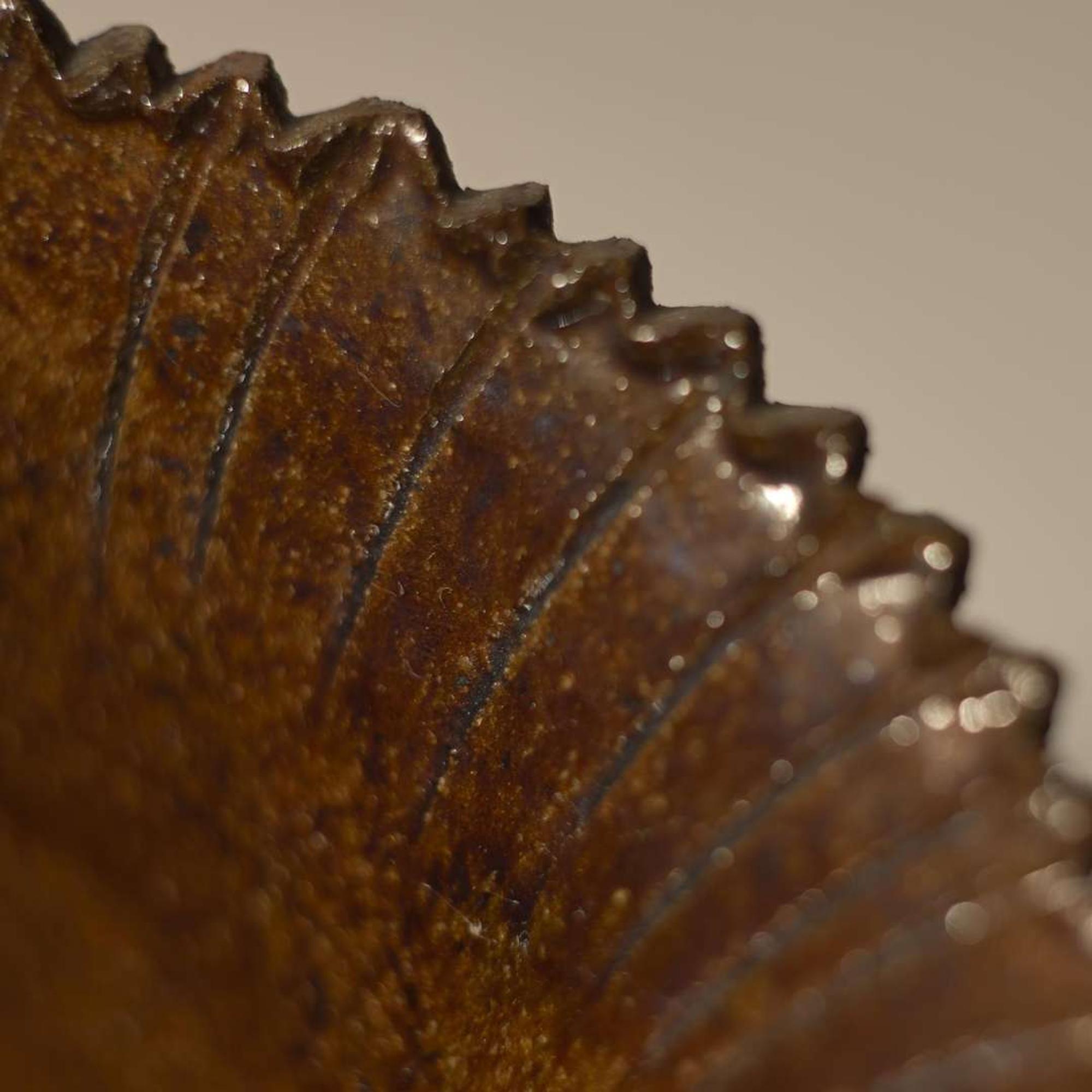 George Ohr (American, 1857-1918) Large Flower Vase with Serrated and Ruffled Rim in Brown Glaze, Biloxi, Mississippi, USA, circa 1895-1896
