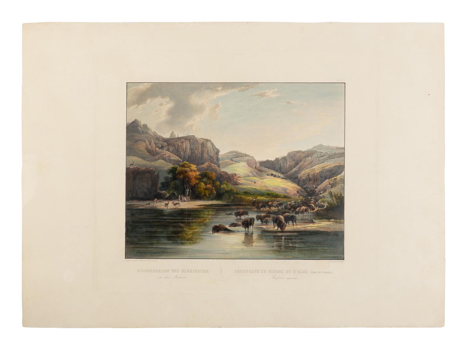 BODMER, Karl (1809-1893) Herds of Bisons and Elks on the upper Missouri (Tab. 47).